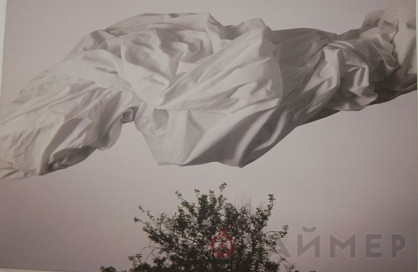 Одесский художник показал свой минималистский проект