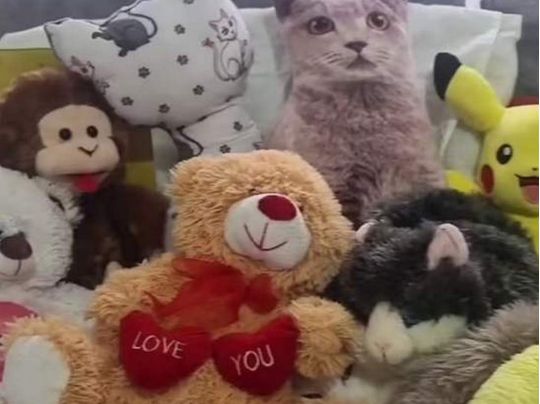 Живого кота замаскували серед іграшок — його намагалися знайти на відео понад 10 мільйонів людей