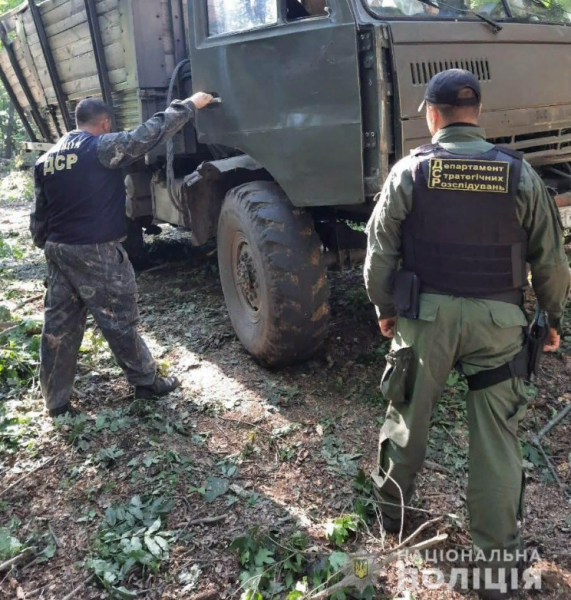 Спустя два года: в суд ушло дело о масштабной вырубке леса в Одесской области 