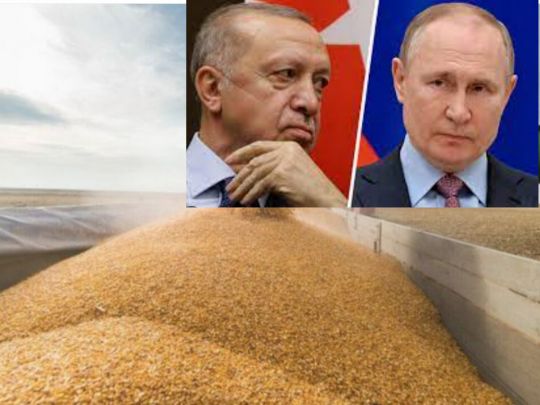 Послухався путіна: Ердоган звинуватив Захід у краху зернової угоди
