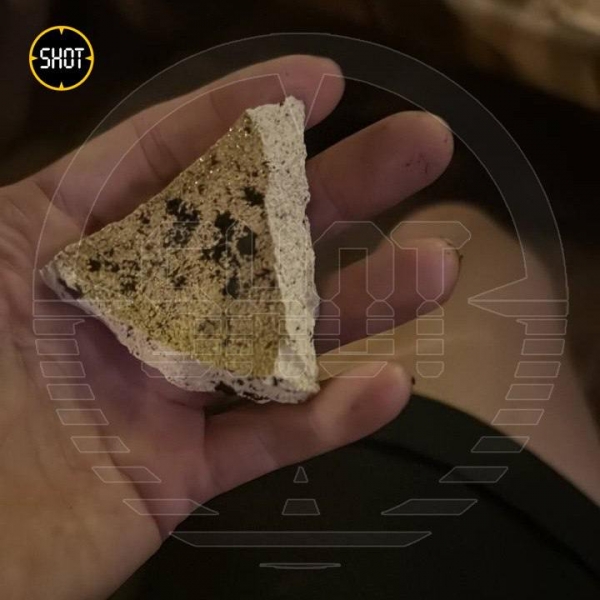 Чемпіонка росії розбила квітковий горщик об голову володарки Кубка Європи у московському ресторані