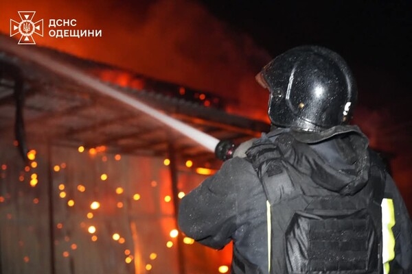 Пожары и пострадавшие в пригороде Одессы: последствия вечерней атаки БпЛА