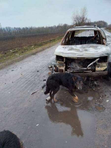 «Я йшов повз спалених машин і думав про те, що треба вижити»: житель Сумщини здолав важкий шлях, щоби вивезти зі зруйнованого села своїх собак