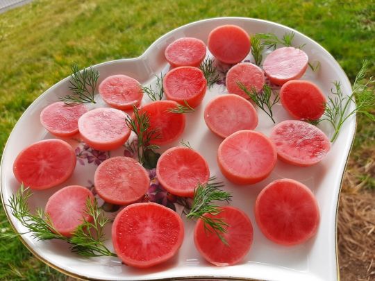 Маринована редиска з буряком: цей делікатес готується легко та просто