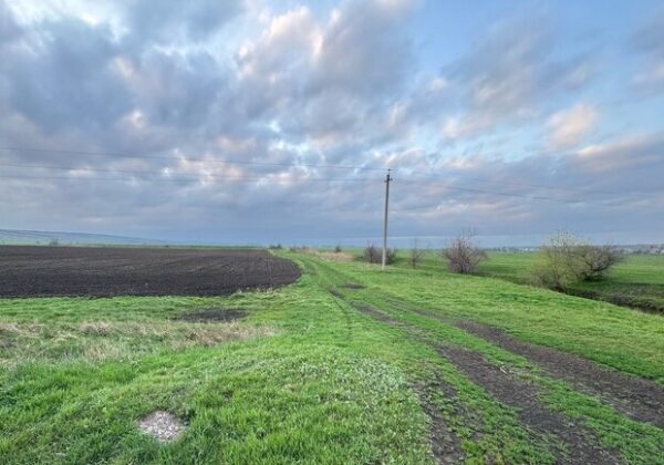 В Одесской области молодой человек засеял кукурузой участок в охранной зоне В Одесской области молодой человек засеял кукурузой участок в охранной зоне
