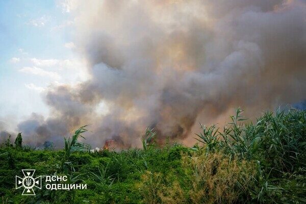 В Одессе чувствовался сильный запах гари: что произошло