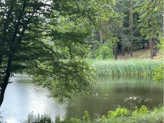 Сорокаградусна спека та&nbsp;зливи зі&nbsp;шквалами: за&nbsp;прогнозами синоптиків, на&nbsp;українців чекає контрастний тиждень