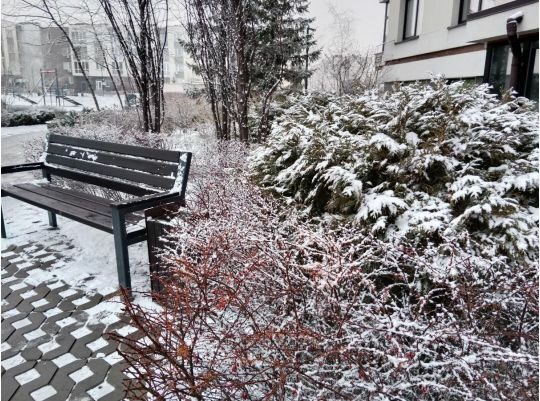 Якою буде зима у&nbsp;цьому році: синоптики приголомшили прогнозом