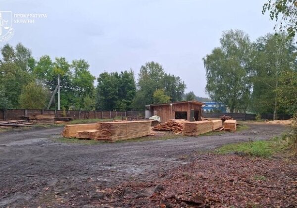В Одесской области перекрыли канал контрабанды леса в Молдову: среди подозреваемых — депутат В Одесской области перекрыли канал контрабанды леса в Молдову: среди подозреваемых — депутат