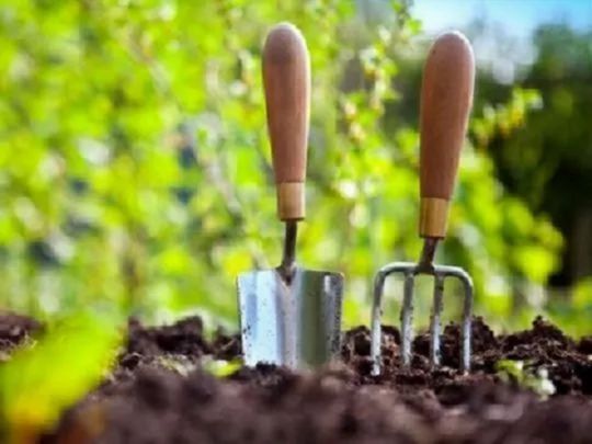Посів моркви &laquo;під зиму&raquo;: два перевірені способи та&nbsp;їх&nbsp;&laquo;плюси&raquo;