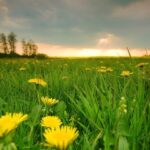 Считанные недели до лета: какая погода будет в Одессе в мае