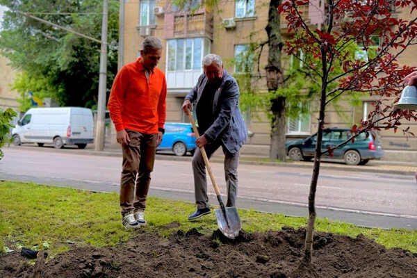 В честь погибших детей: в Одессе заложили яблоневый "Сад памяти"